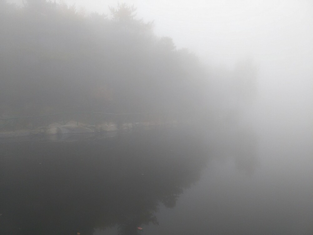                        白雾茫茫