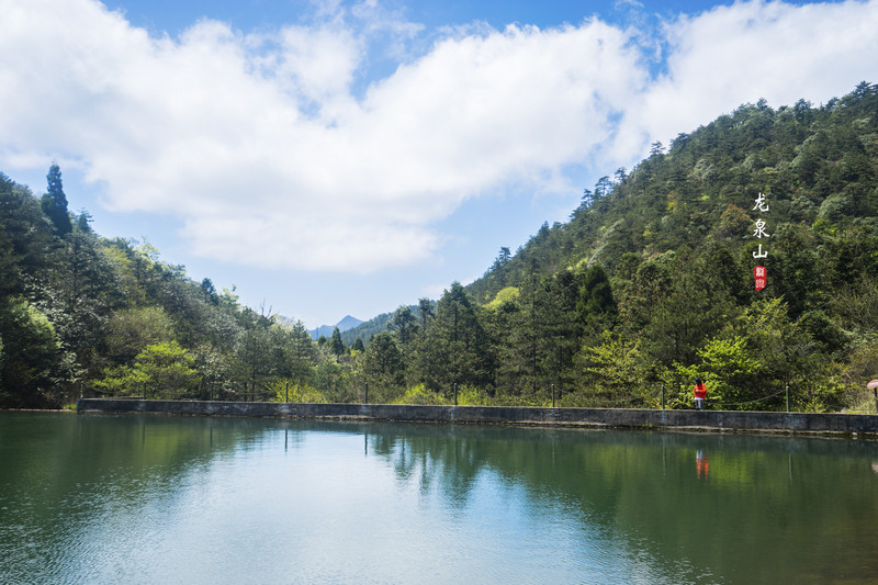 龙泉大峡谷景区还分布着众多的珍稀植物物种,被誉为