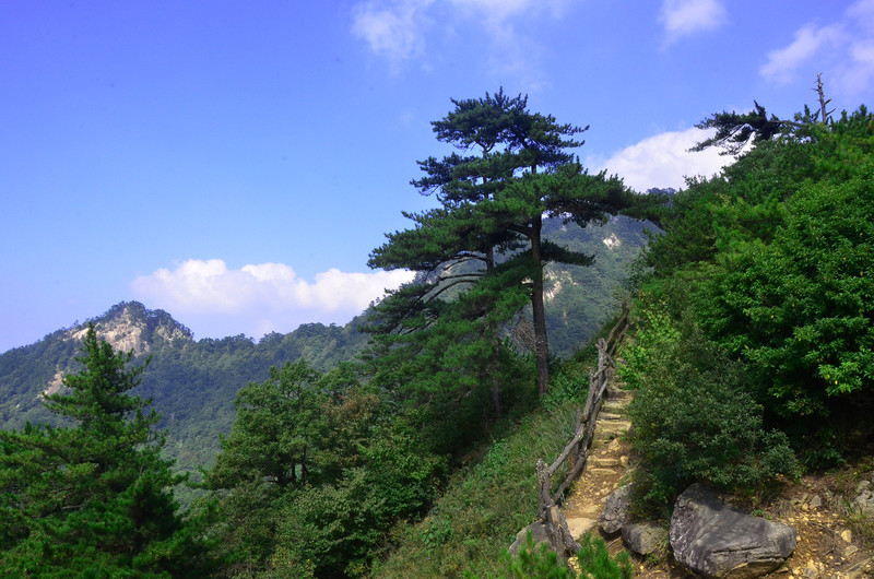 另外,大别山有着独特的地理条件和文化渊源,大别山脉连绵数百里,是