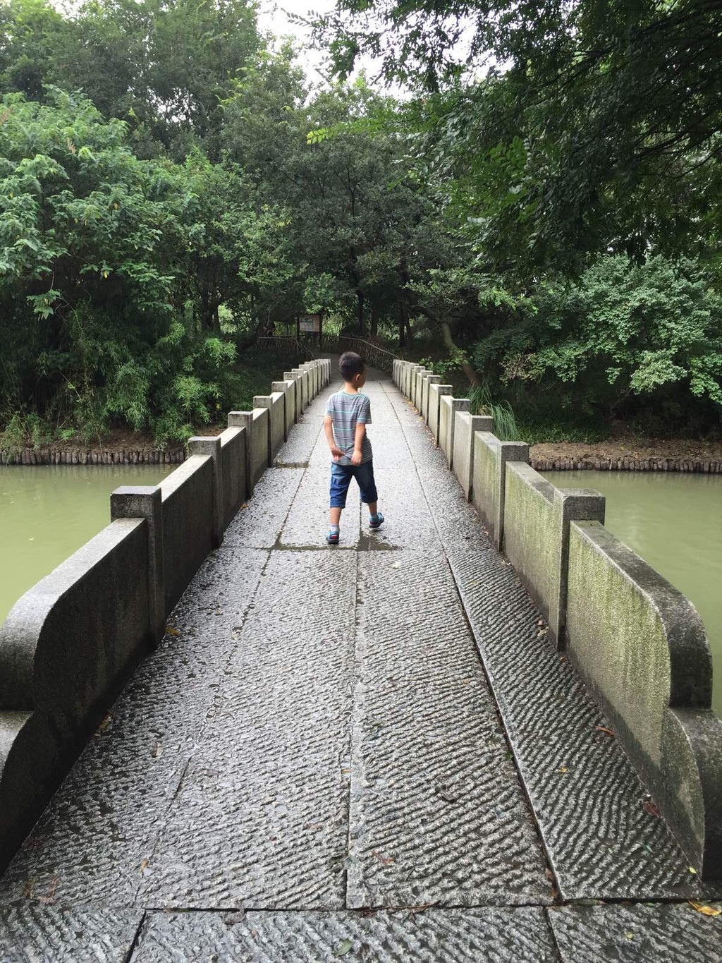 西溪湿地                                  