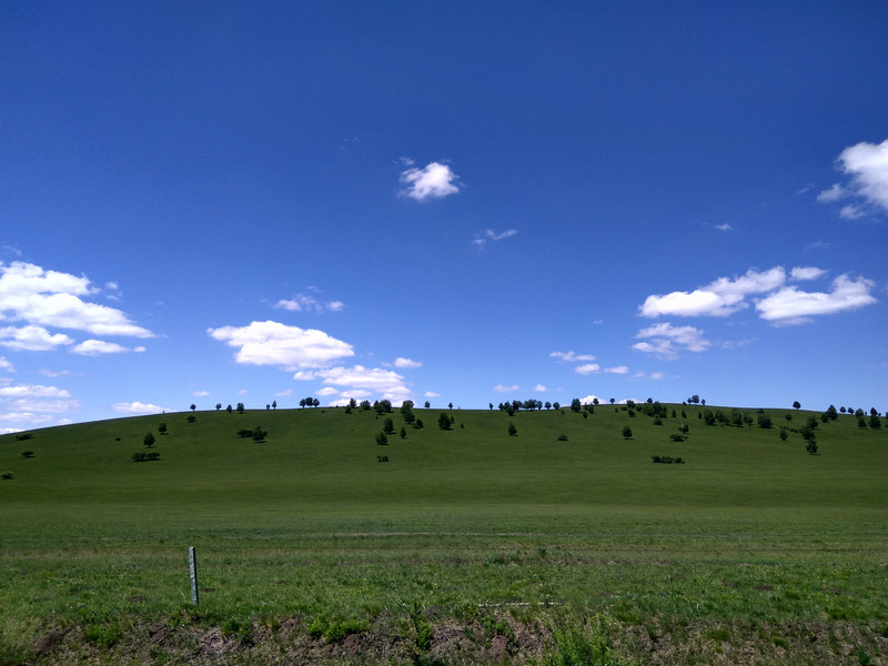 2017年6月中旬初次见面的草原,内蒙古东科尔沁草原阿尔山,扎龙哈尔滨
