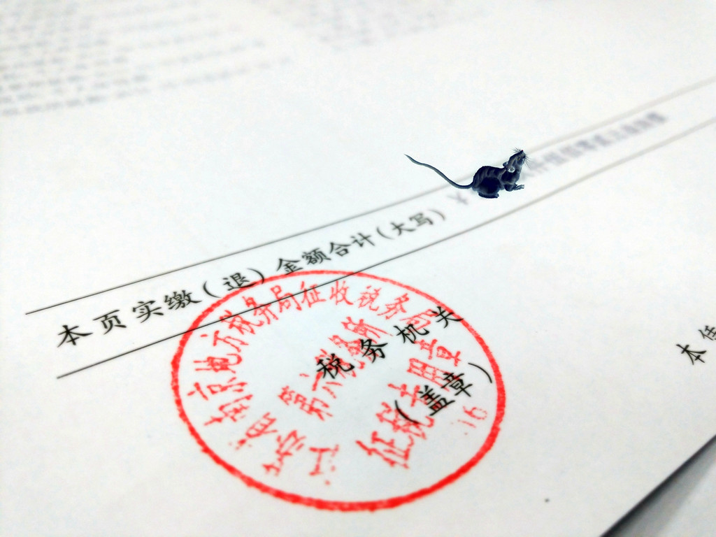 单位工作收入证明谁写 携程网