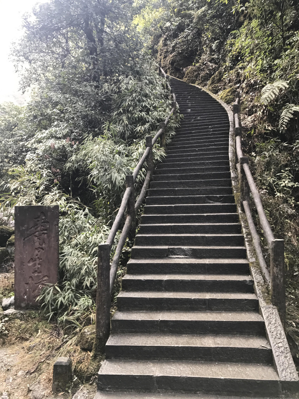 单身狗春节挑战徒步峨眉成都五日自由行 峨眉山游记攻略【携程攻略