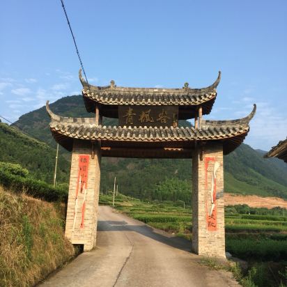 武义青枫谷山庄