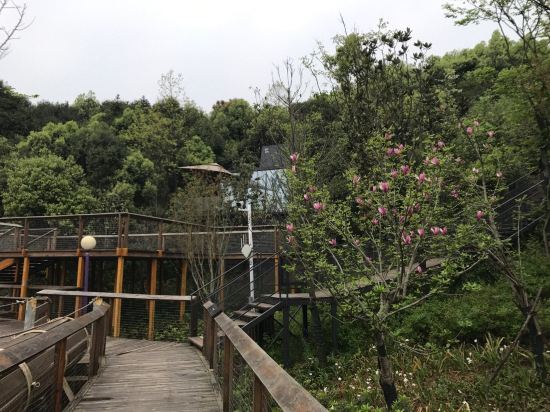 长沙县地球仓酒店(浔龙河店)预订价格,联系电话