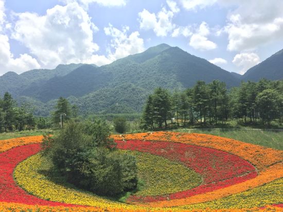 巫溪红池坝度假酒店