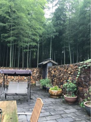 竹林半山墅,环境优美,世外桃源般,一家人或者朋友一起住在小院非常