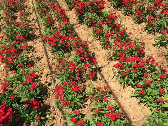 武汉新国博景观酒店预订价格,联系电话\位置地