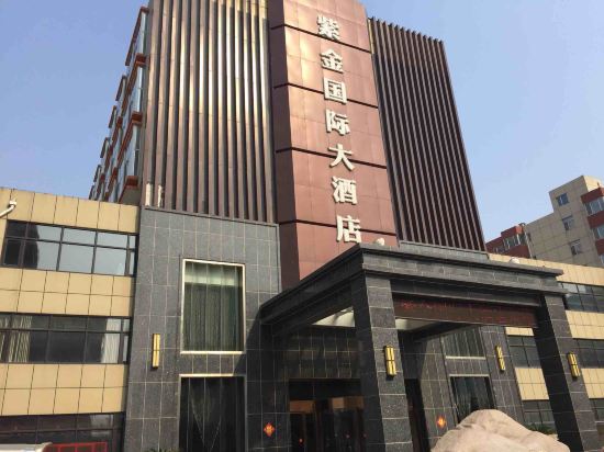 东阿紫金国际大酒店