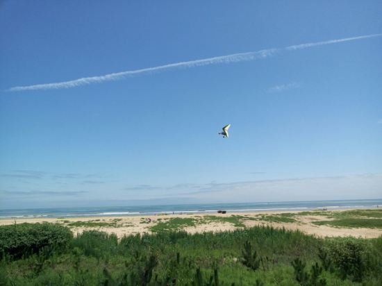 6月日照海鲜价格_日照海鲜大餐_6月风景(2)