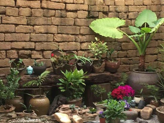 阳朔云庐酒店怎么样\好不好\服务点评