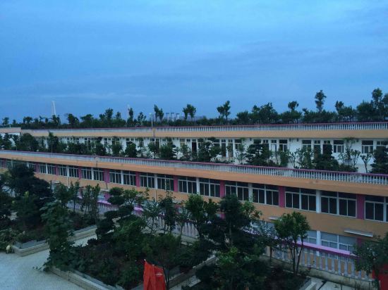 武汉新国博景观酒店预订价格,联系电话\位置地