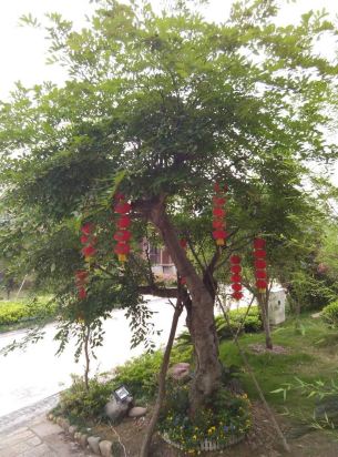 武夷山润德楼别墅怎么样\好不好\服务点评