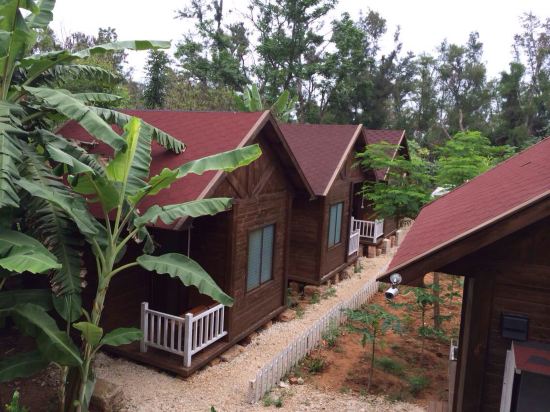 北海涠洲岛火龙果庄园怎么样\好不好\服务点评