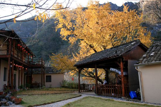 临安彼岸休闲度假民宿预订价格,联系电话\位置地址【携程酒店】