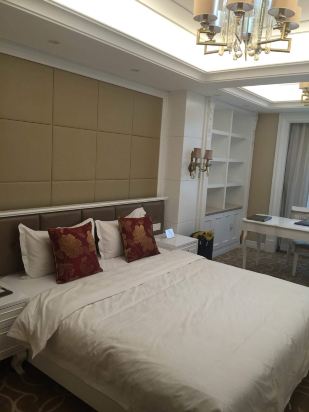 昌吉特变电工雪莲湖国际会议酒店预订价格,联