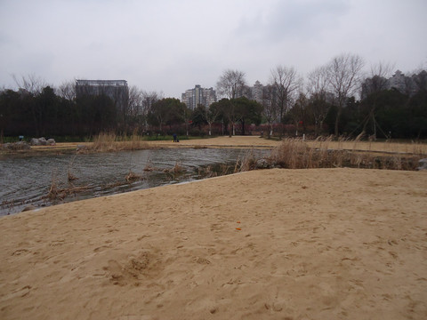 随手拍之世纪公园人工沙滩