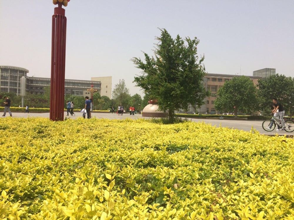菏泽学院