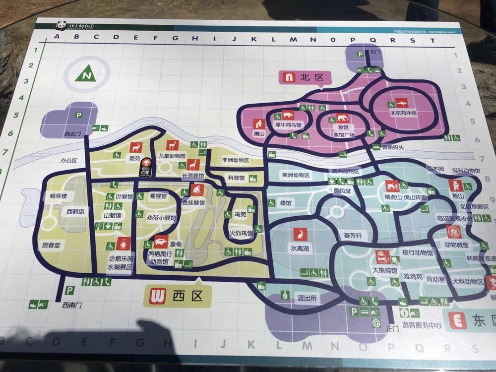                      北京动物园