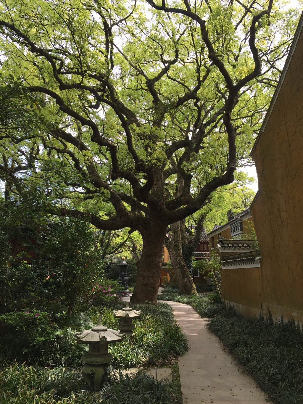 双泉禅院                                  