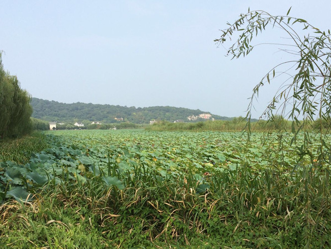           苏州太湖国家湿地公园