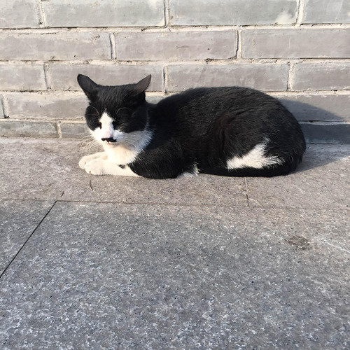 南京|三国相关景点才不只孙权墓!