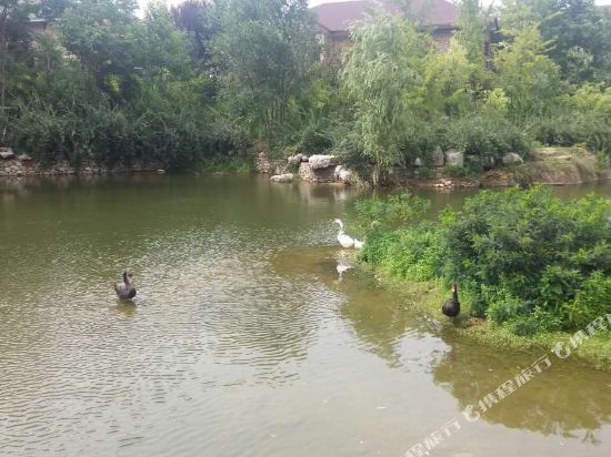 泗水万紫千红青界湖御温泉酒店1-2晚+含双人早