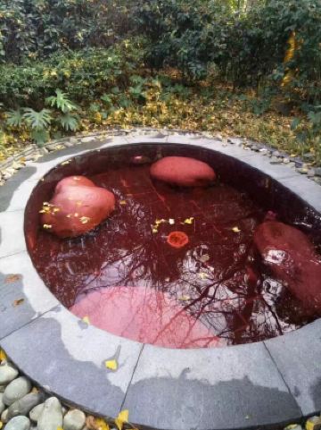 都江堰岷江新濠酒店点评