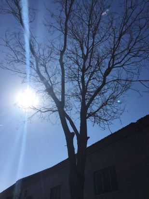 请问我这个头旋正常吗(喷子勿入)