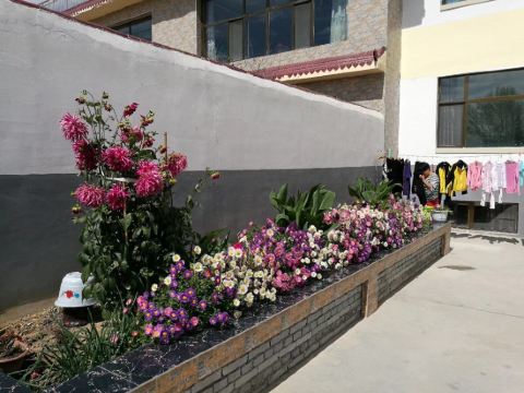 海西格尔木海青青年驿站