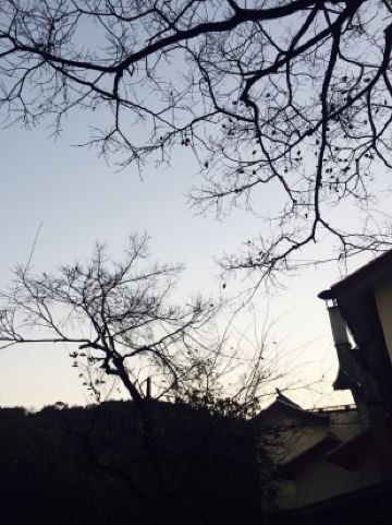 普陀山南海小庄