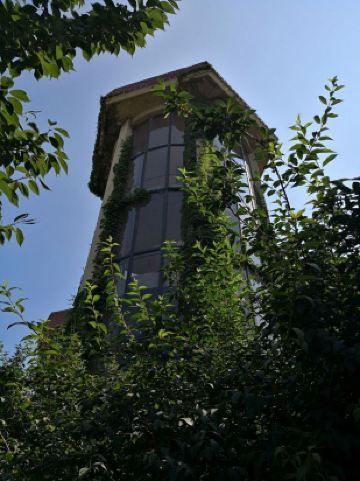 大连仲夏花园酒店点评