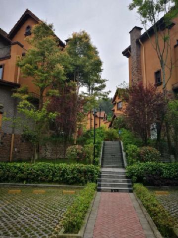 花水湾王山别墅温泉度假酒店