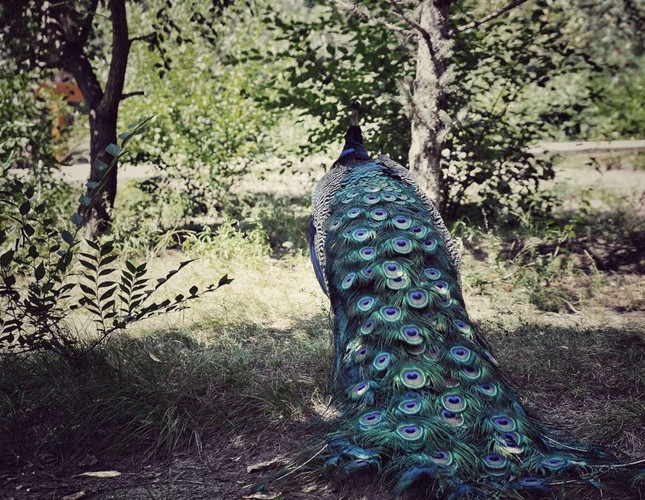 旅行缦记】聆一曲草原牧歌,观一场云卷云舒 呼