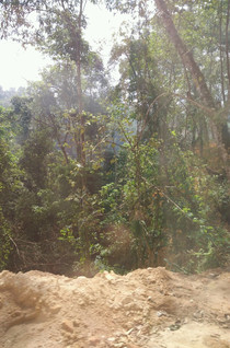 勐拉gdp_缅甸小勐拉(3)